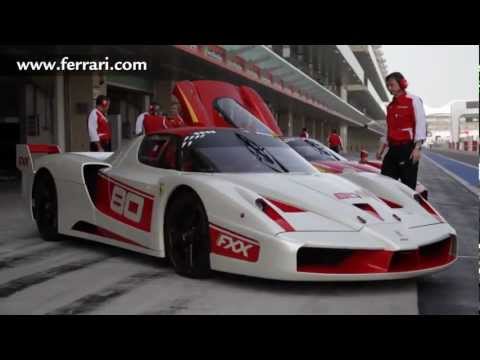 Racing Days in Abu Dhabi