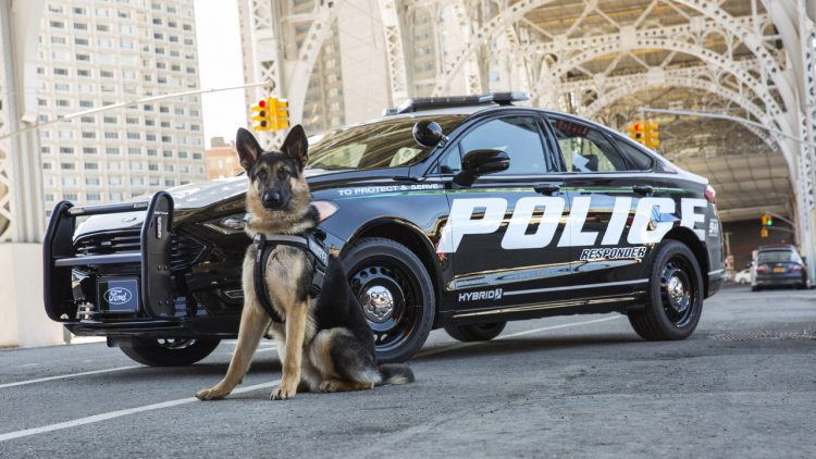 ford-police-hybride-Ford-Police-Responder-Hybrid