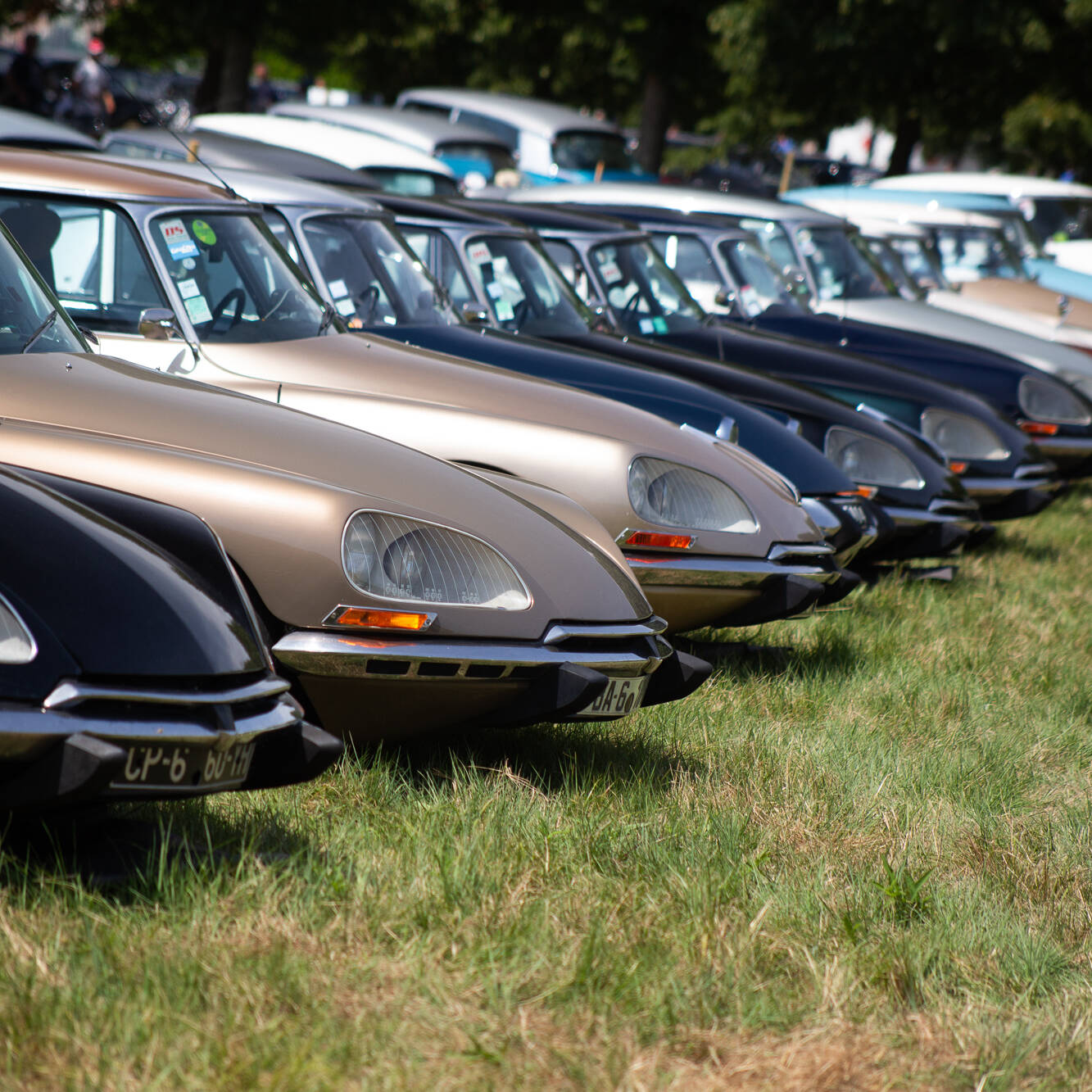 DS, Jubilé de Platine Citroën DS