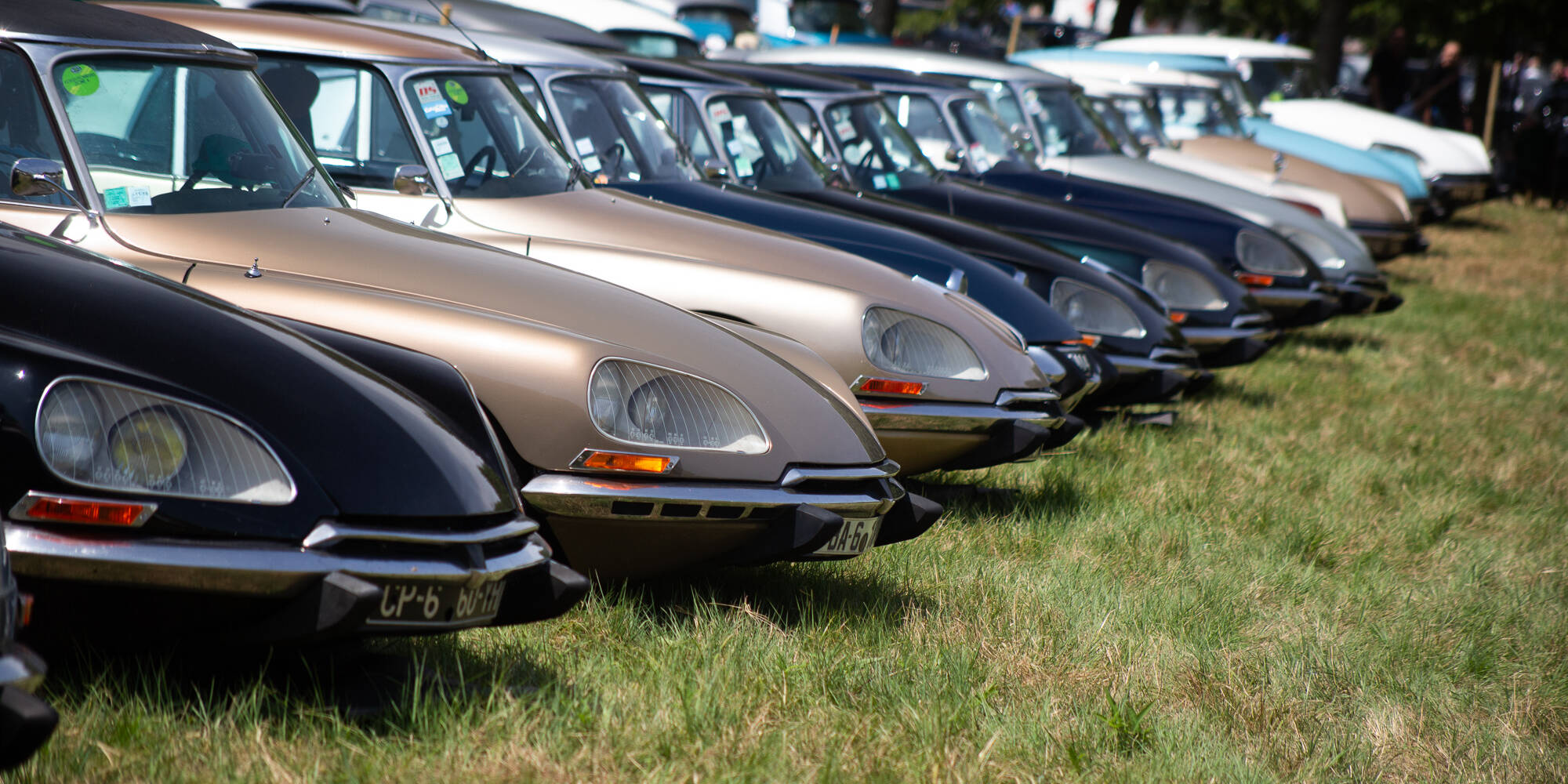 DS, Jubilé de Platine Citroën DS