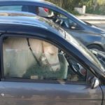 voiture sans permis