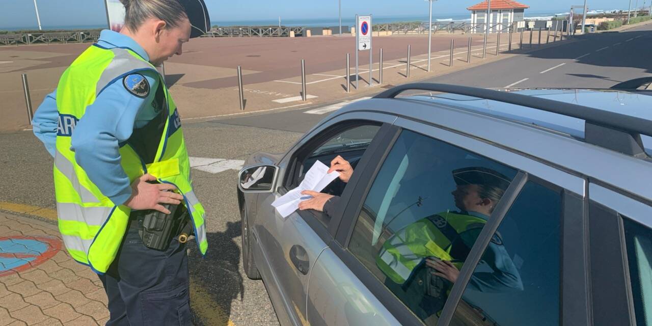 permis de conduire