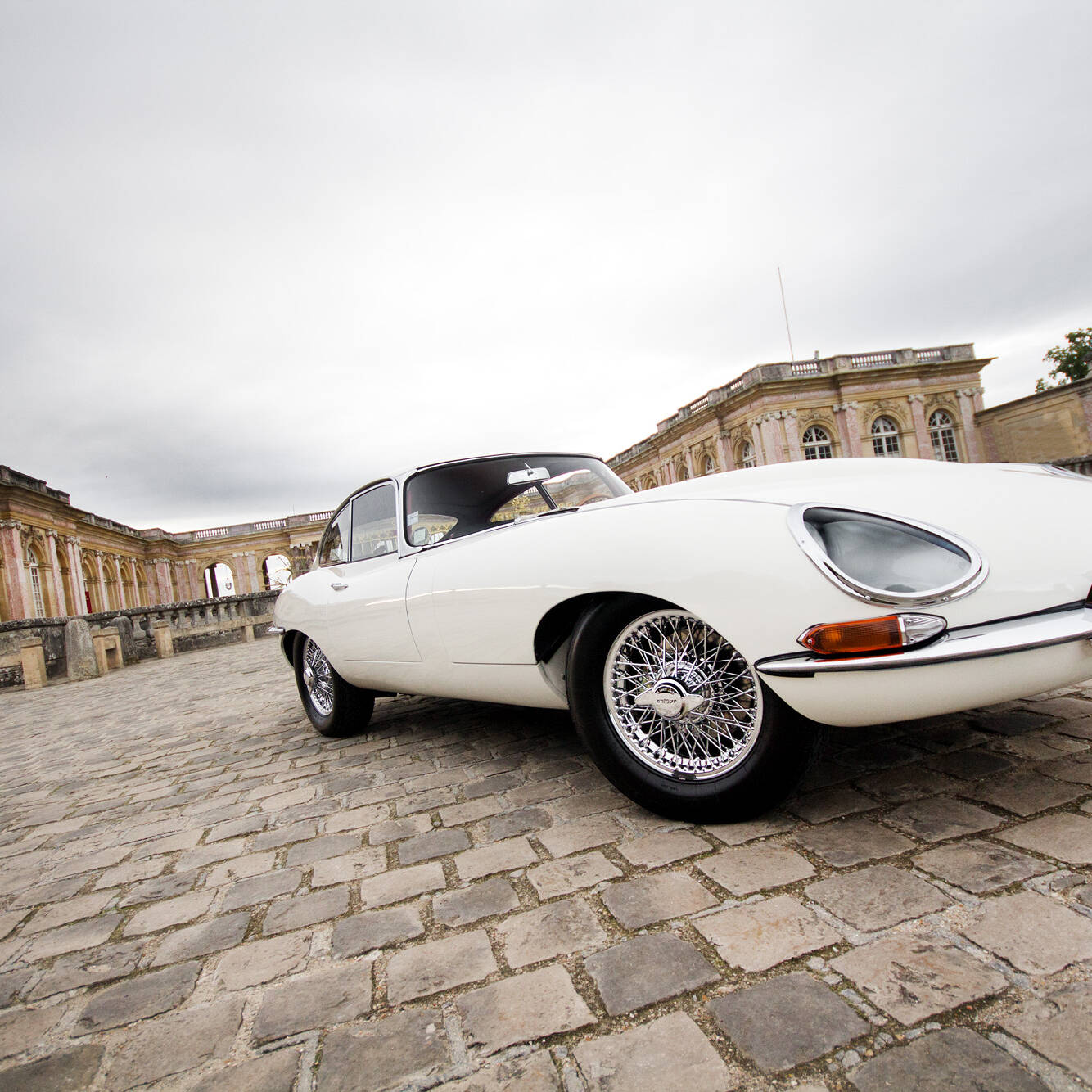 Jaguar Type E