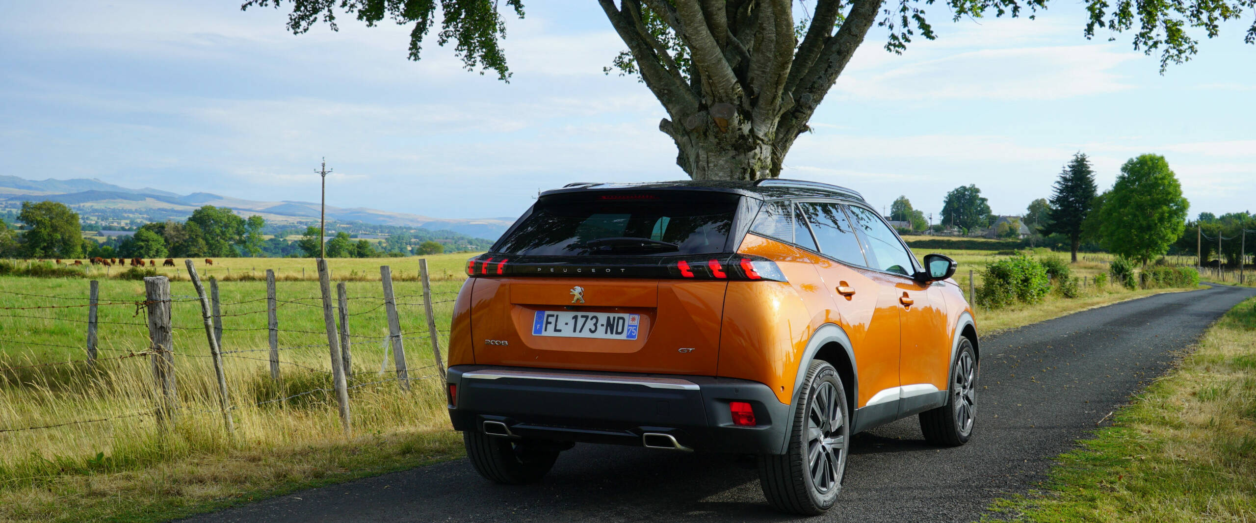 Cantal SUV d'occasion