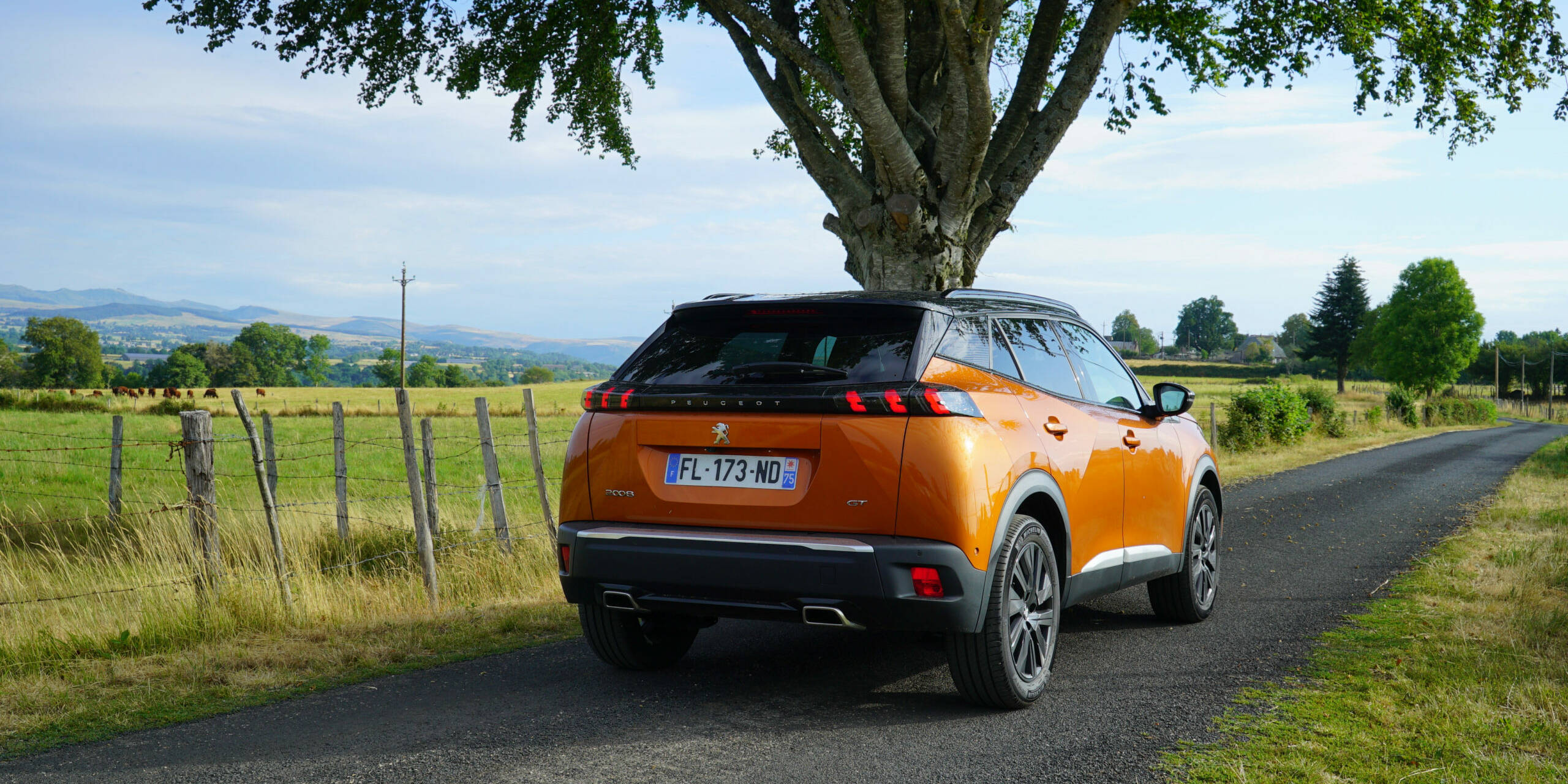 Cantal SUV d'occasion