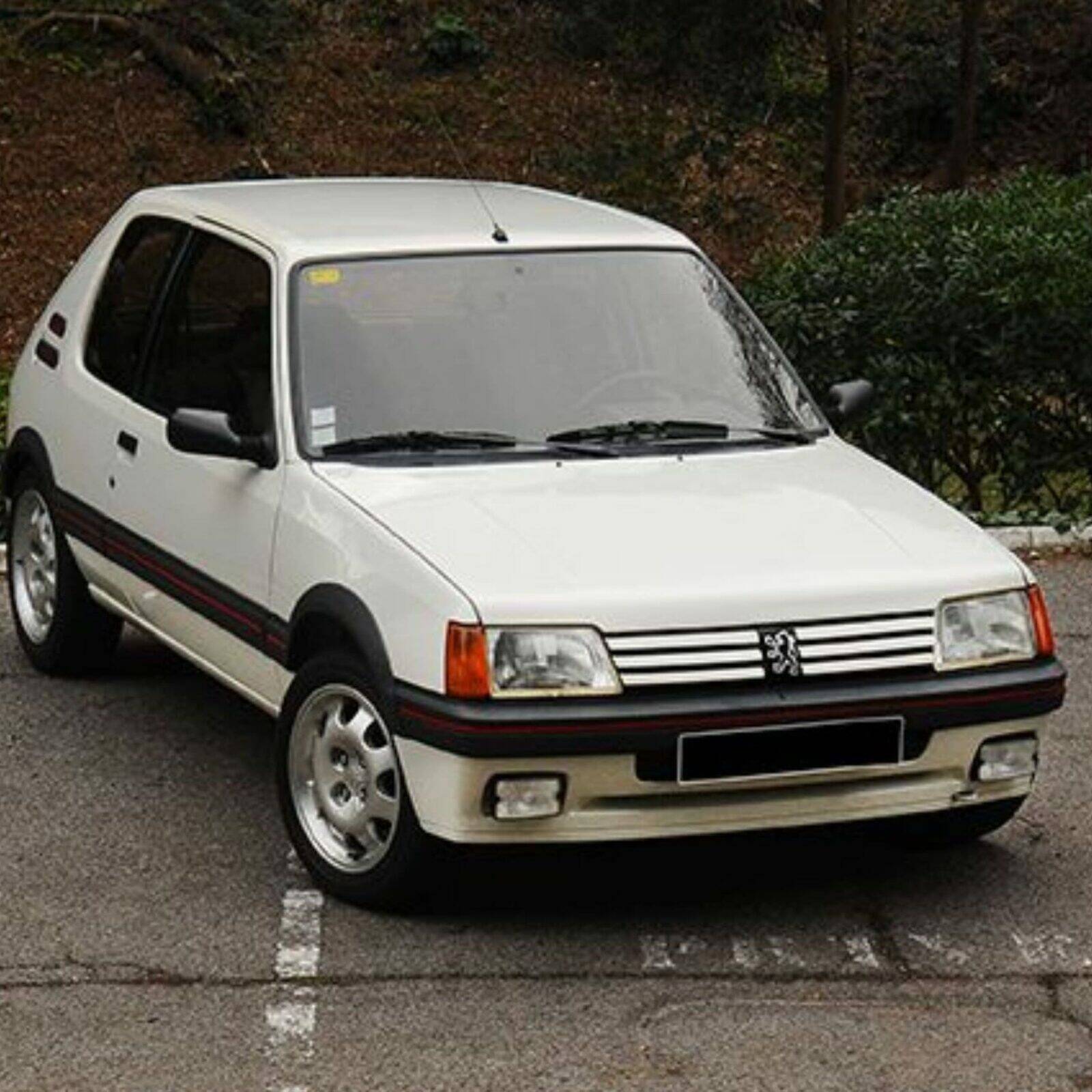 Peugeot 205 GTI