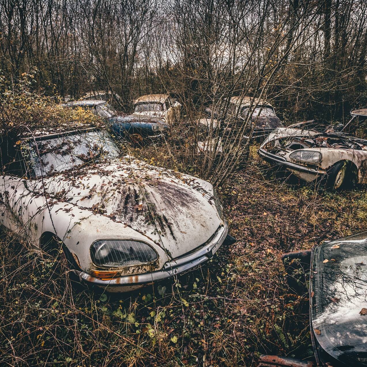 Halloween cimetière Citroën DS urbex