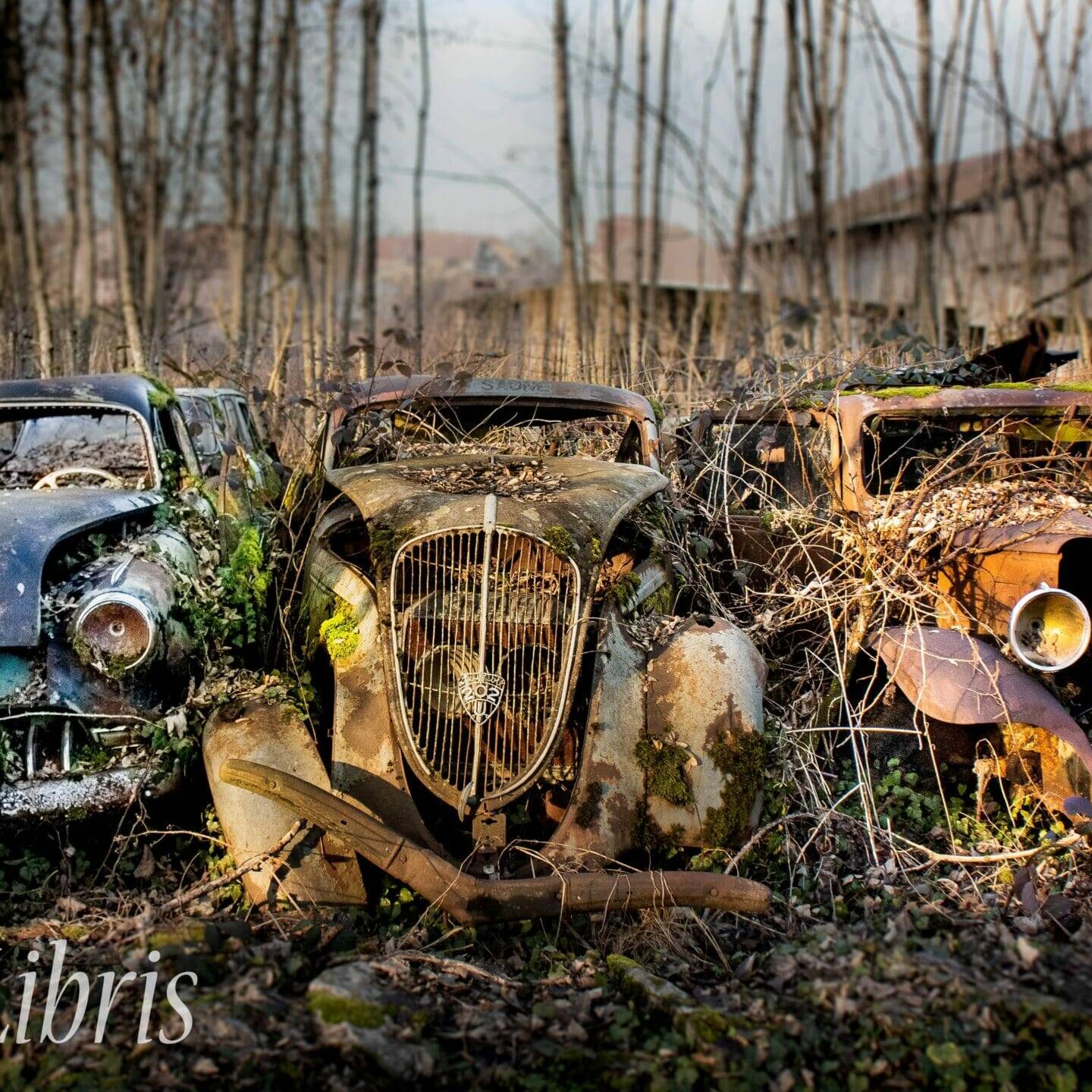Urbex