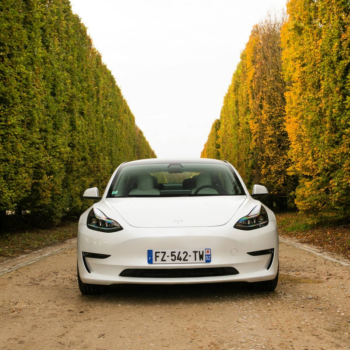 Tesla Model 3 Elon Musk