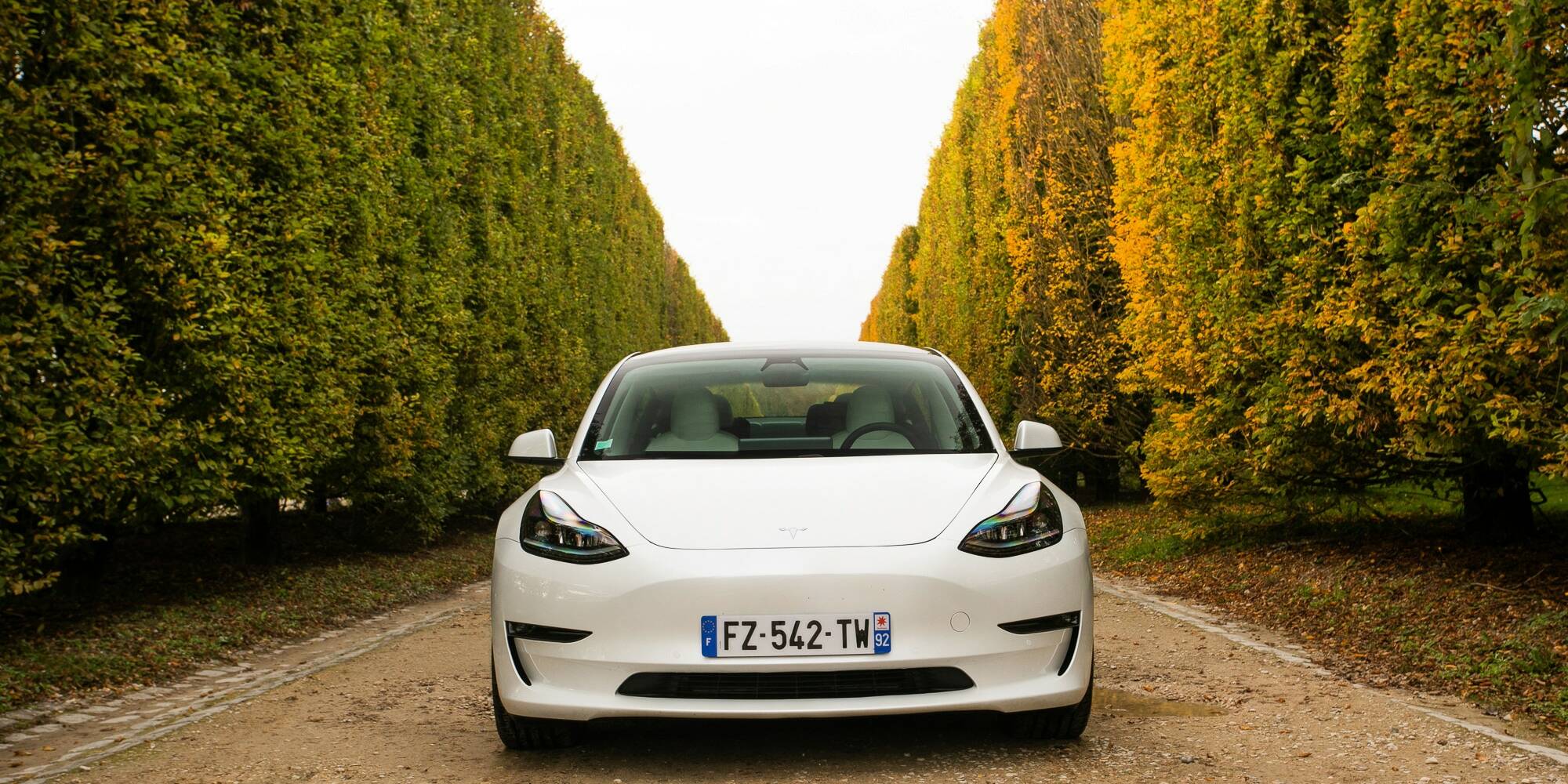 Tesla Model 3 Elon Musk