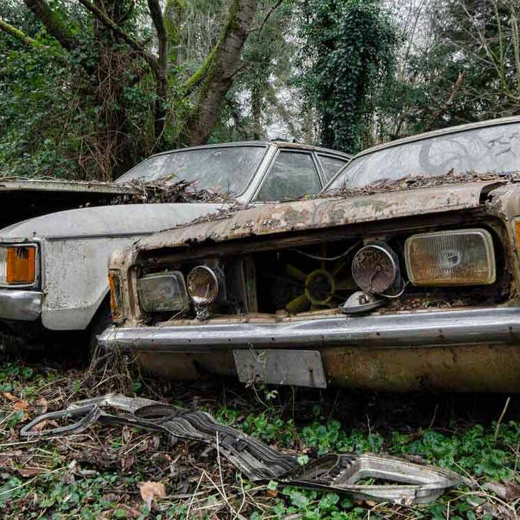 urbex cimetière de voitures Ford