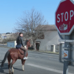 carburant cheval prix des carburants
