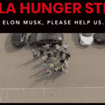 Elon Musk voitures électriques Tesla