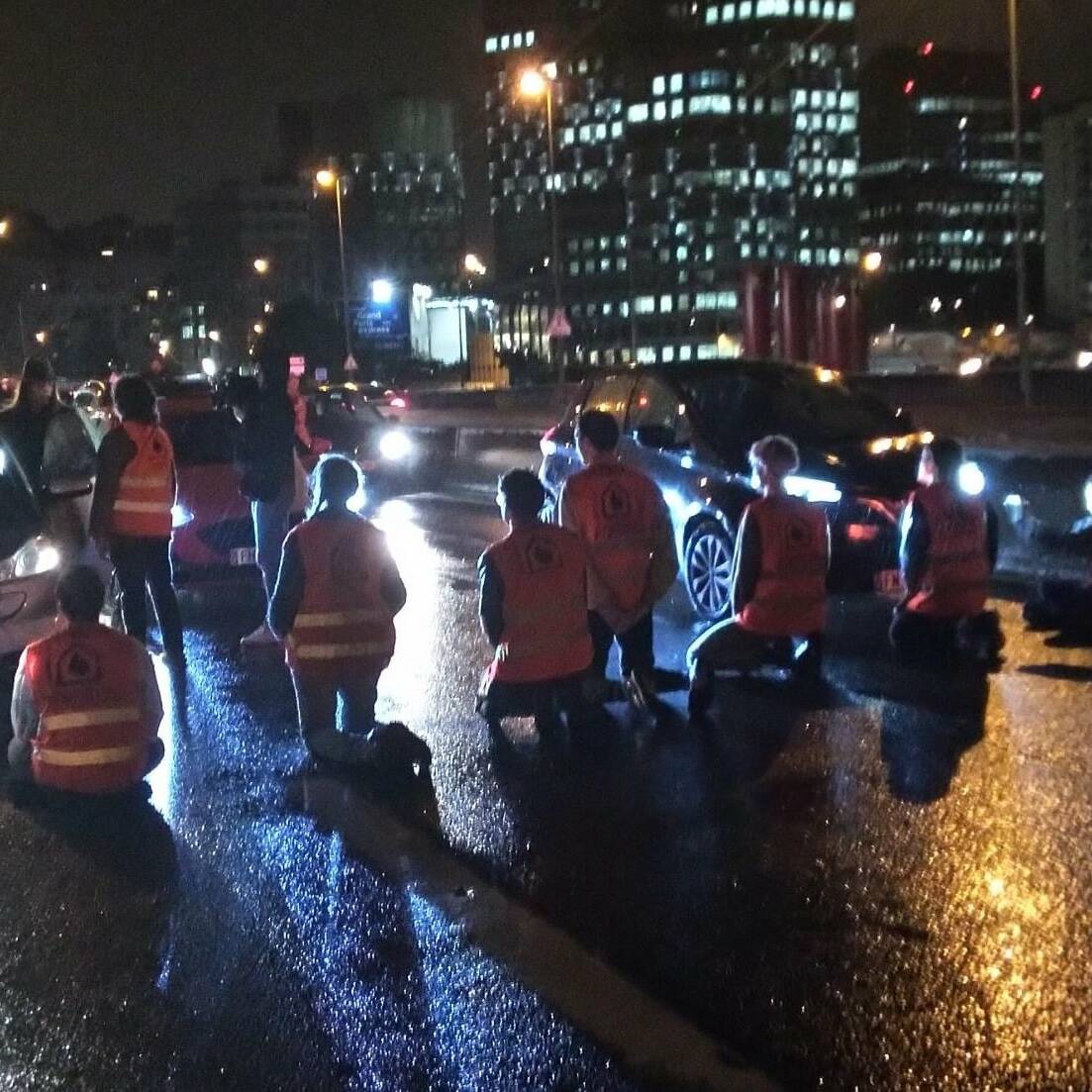 écologistes Pont de Sèvres