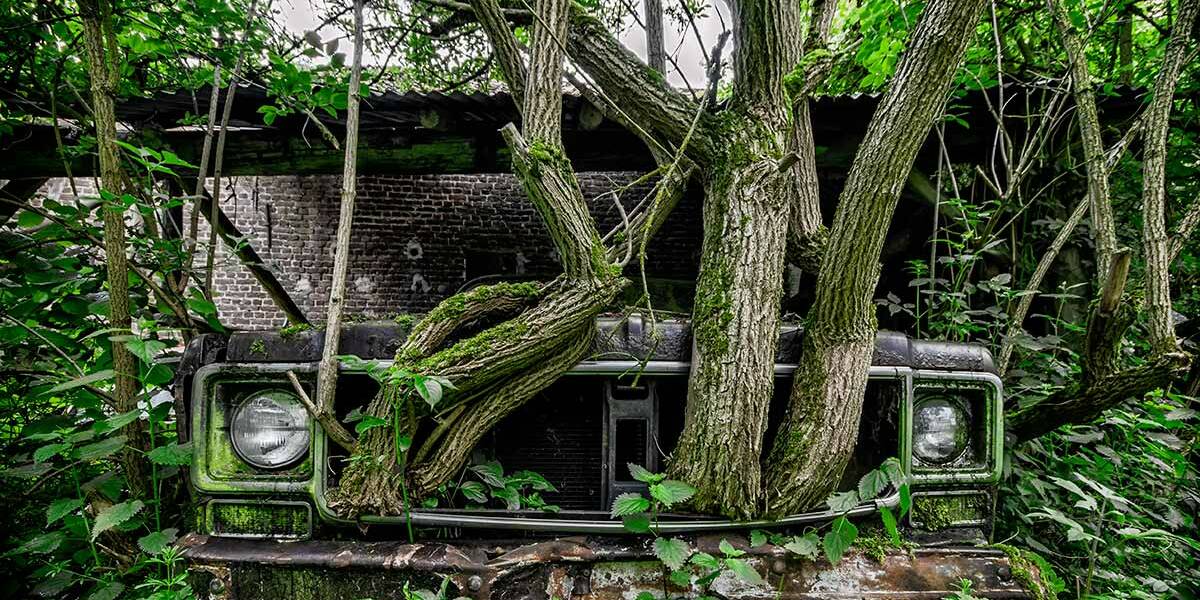 urbex arbre voiture