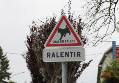 Panneaux de signalisation routière chat hérisson Mennecy