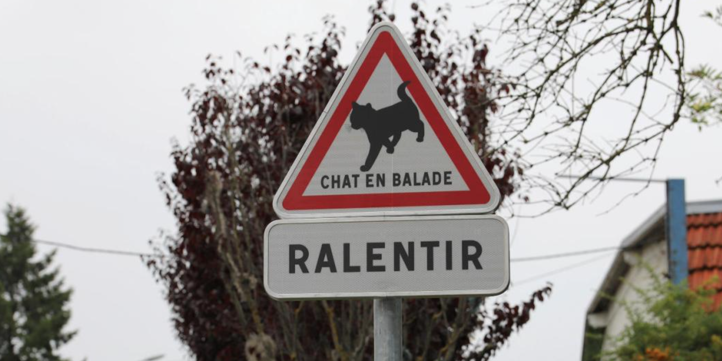 Panneaux de signalisation routière chat hérisson Mennecy