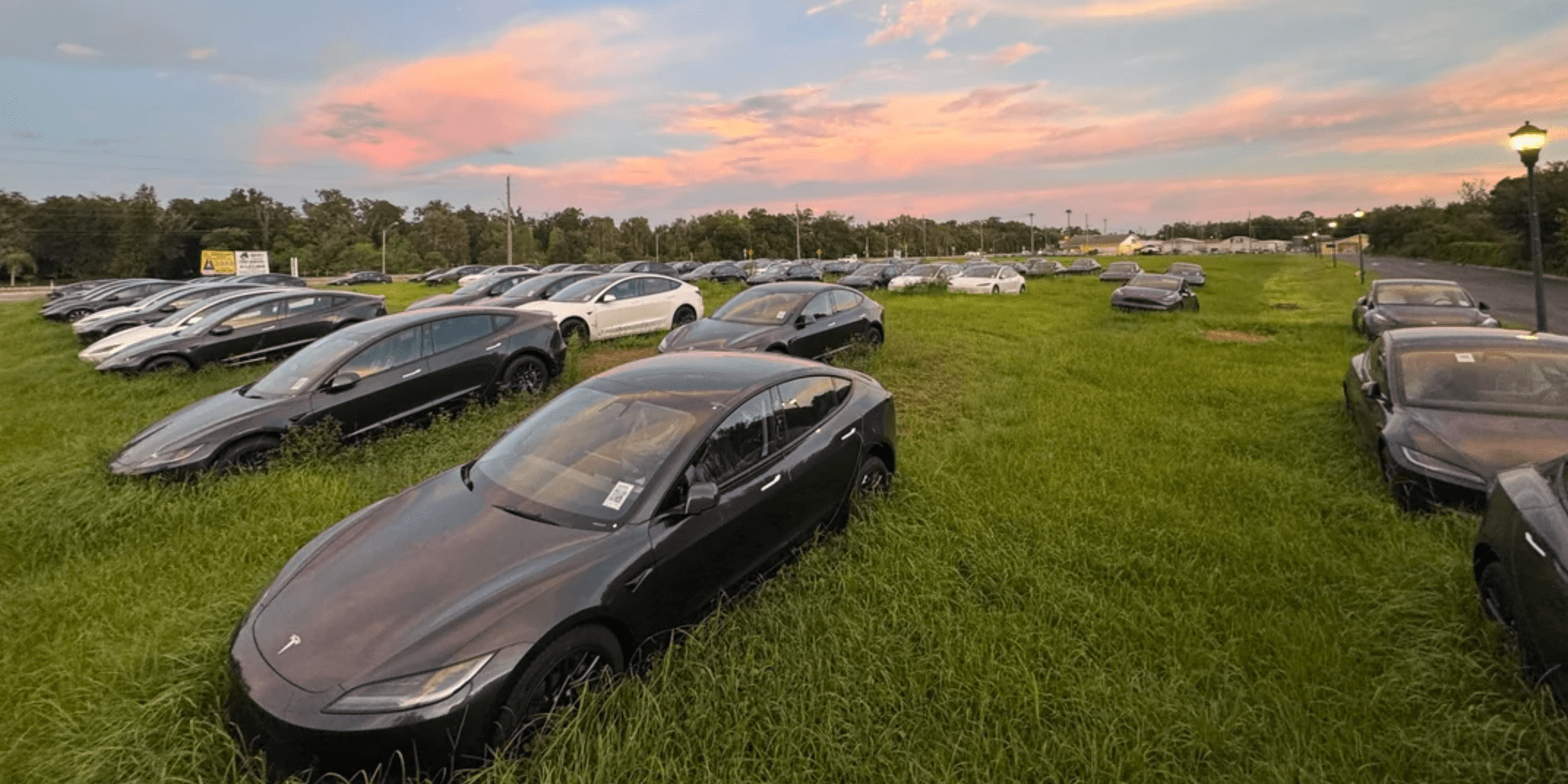 Tesla abandonnées voitures électriques Model Y Model 3