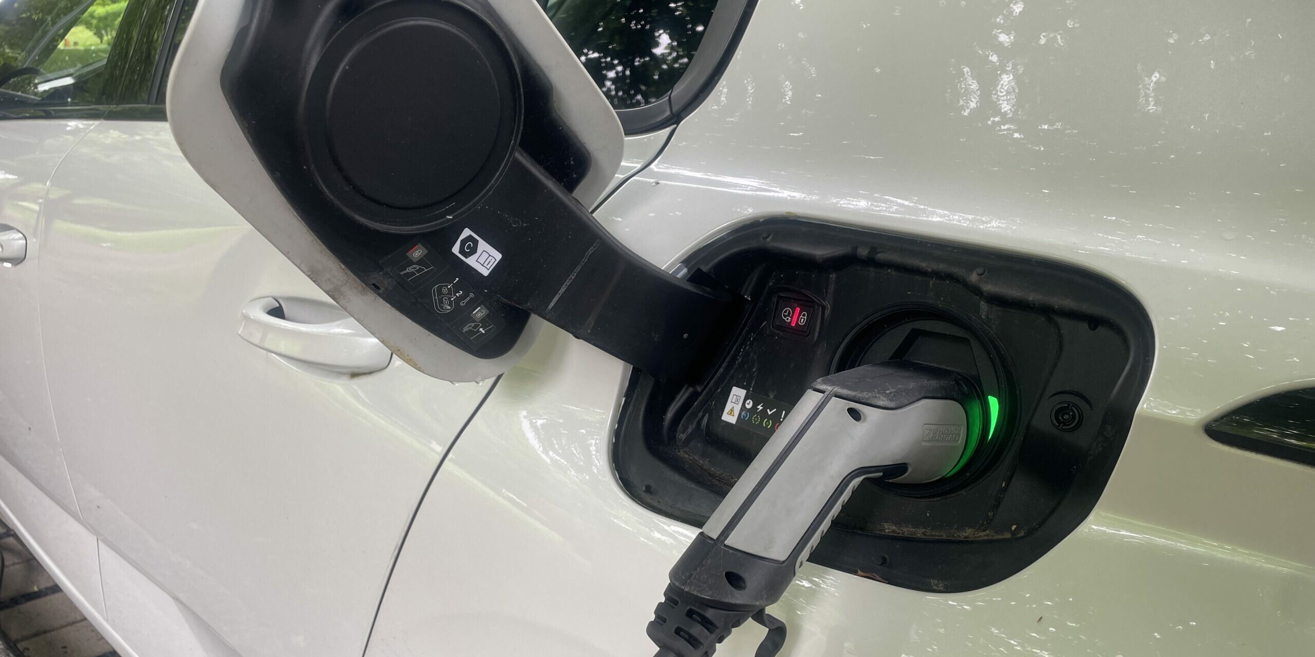 marché automobile 2024 voitures électriques voitures hybrides