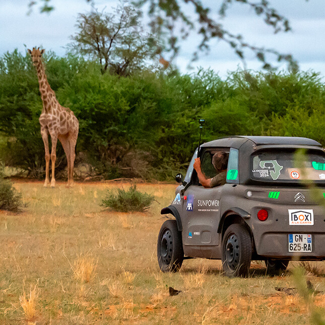 Citroën Ami La Croisière Verte quadricycles électriques
