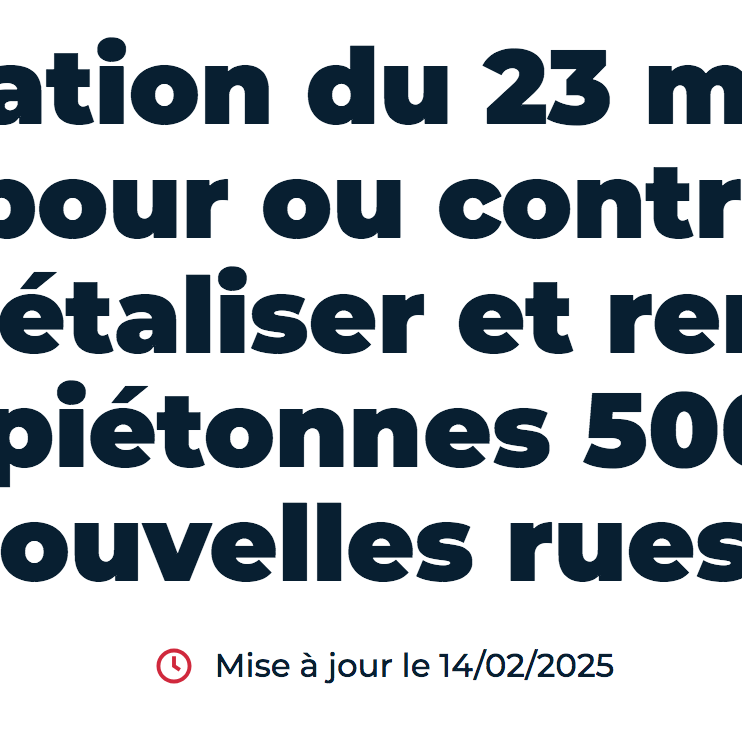 votation citoyenne Paris Anne Hidalgo