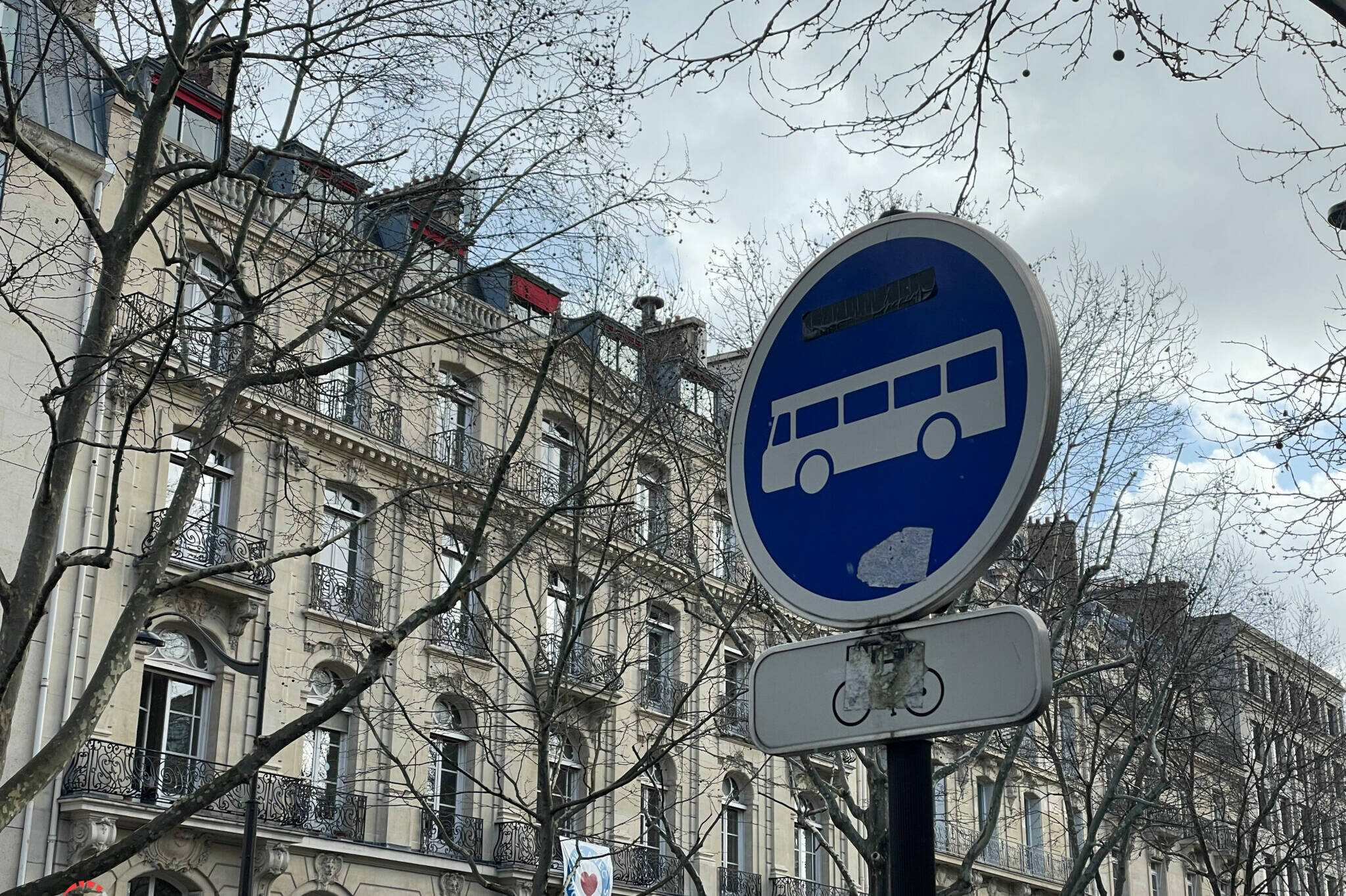 Cars scolaires alcool au volant