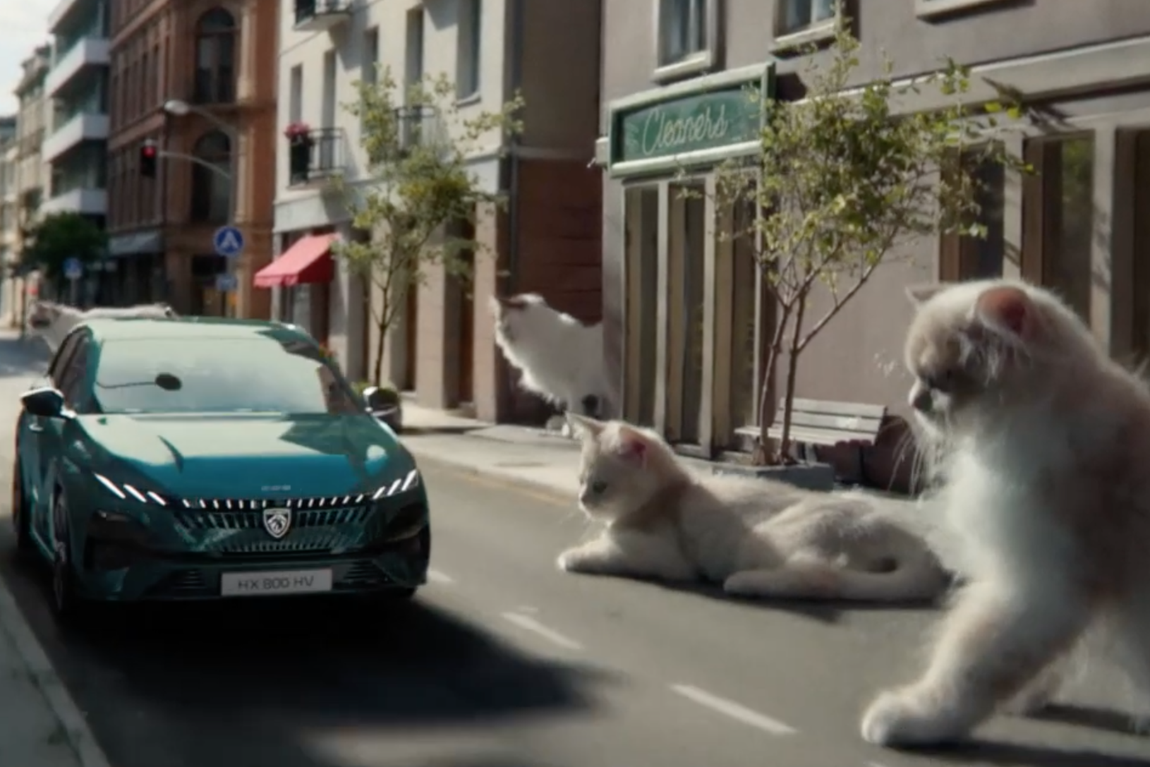 pub chats Peugeot 308