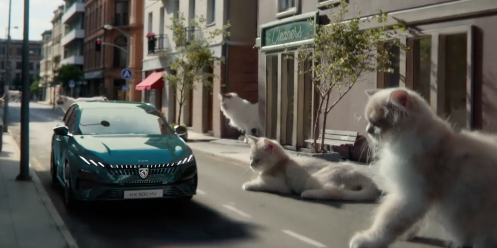 pub chats Peugeot 308