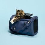 Collection Chat & Chien Renault animaux de compagnie