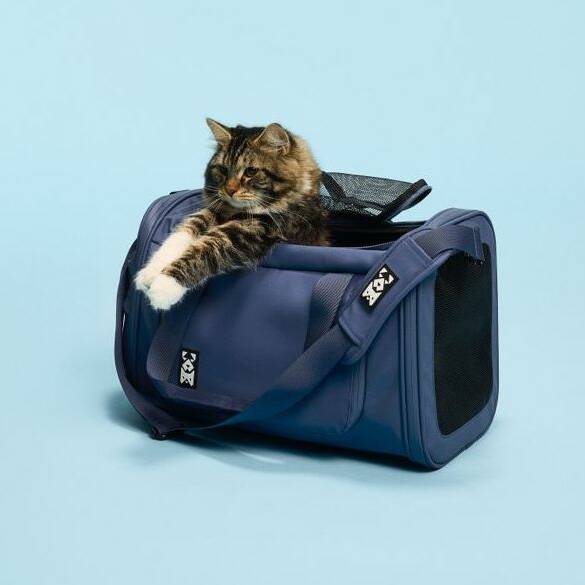 Collection Chat & Chien Renault animaux de compagnie