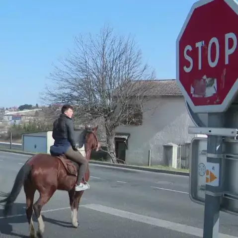 prix des carburants