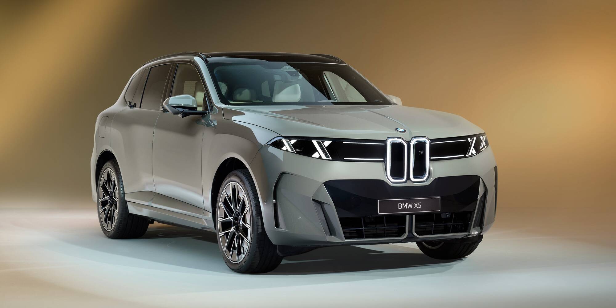 BMW iX5 BMW X5 G65