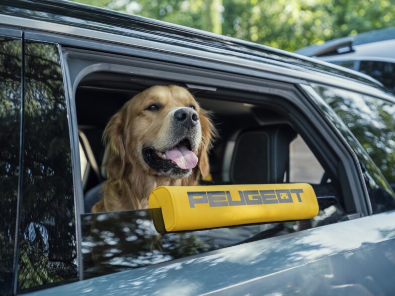 chien voyage voiture Peugeot e-5008 Dog Edition Concept