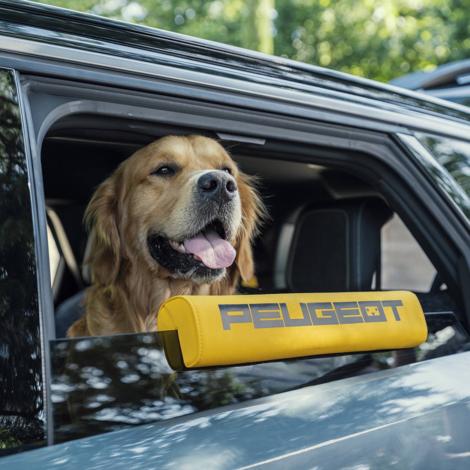chien voyage voiture Peugeot e-5008 Dog Edition Concept