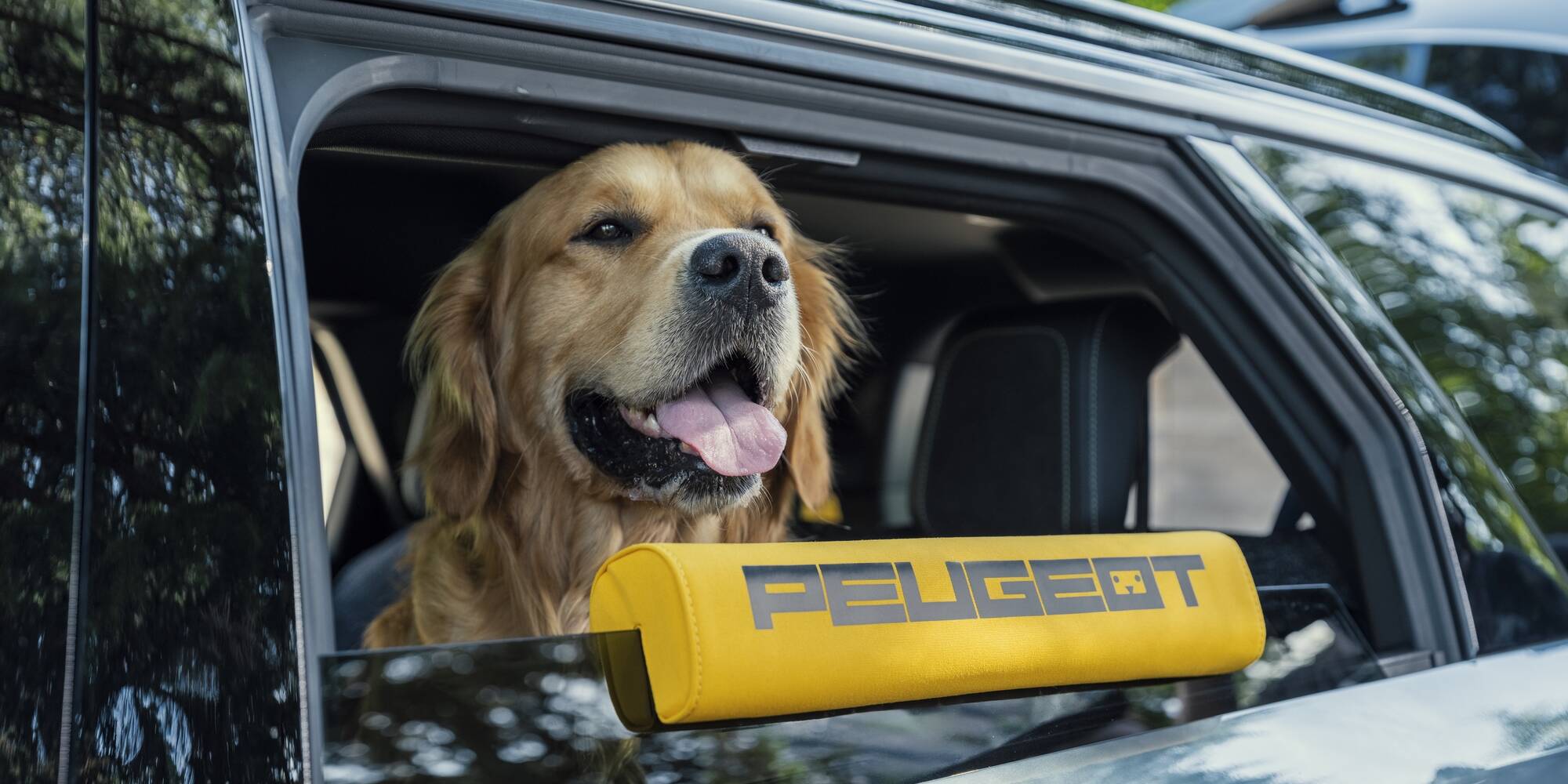 chien voyage voiture Peugeot e-5008 Dog Edition Concept