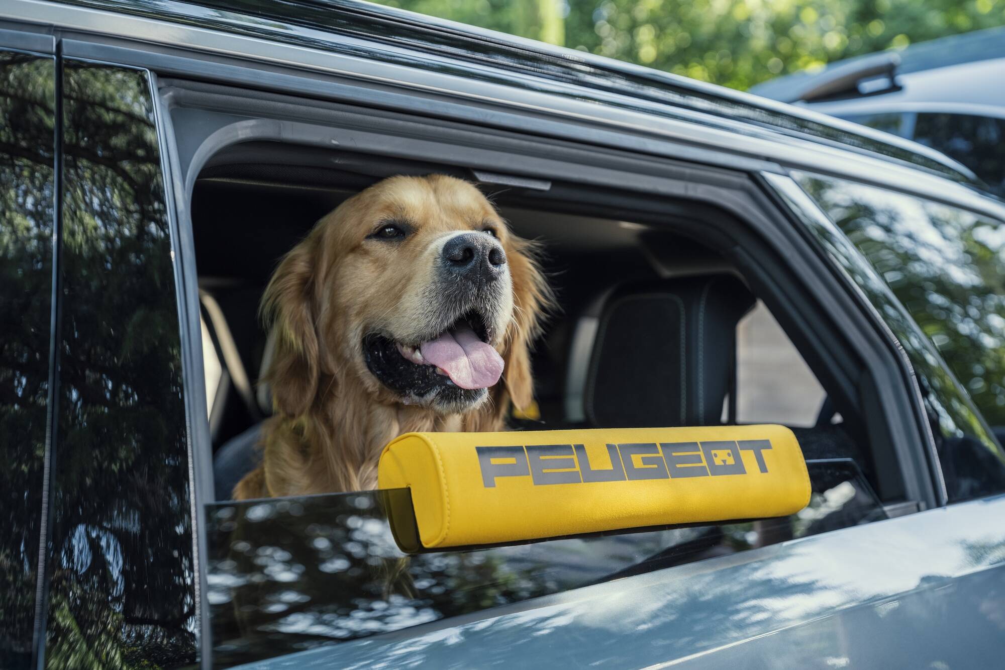 chien voyage voiture Peugeot e-5008 Dog Edition Concept